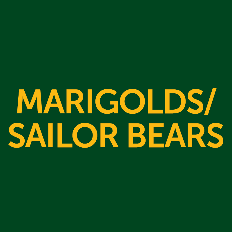 Marigolds/Sailor Bears- Monthly Tuition Payments